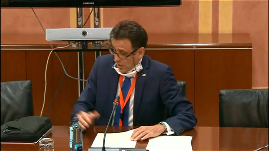 david randel video - El presidente de ACADE-Andalucía intervino en la Comisión de Educación y Deporte del Parlamento andaluz para el Pacto Social por la Educación